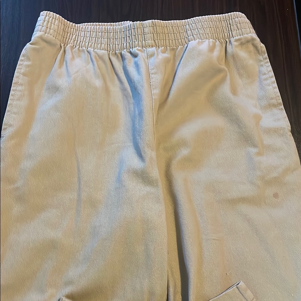 Aritzia Tna pants